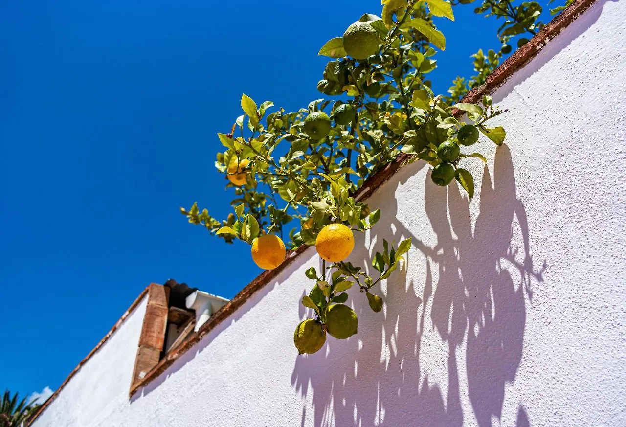 Villa Yanna Benalmádena 0*,  Espanha
